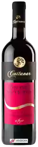 Winery Vina Cattunar - Cabernet Sauvignon