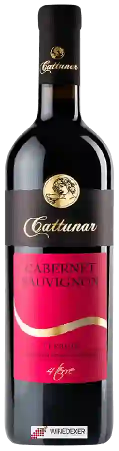 Winery Vina Cattunar - Cabernet Sauvignon Winery Vina Cattunar - Cabernet Sauvignon