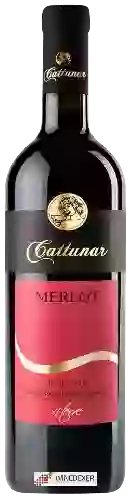 Winery Vina Cattunar - Merlot