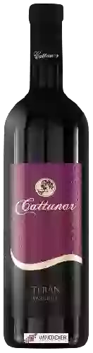 Winery Vina Cattunar - Teran Barrique