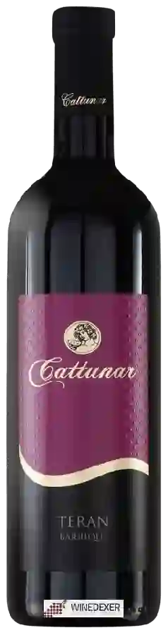 Winery Vina Cattunar - Teran Barrique Winery Vina Cattunar - Teran Barrique