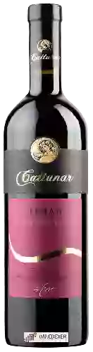 Winery Vina Cattunar - Teran