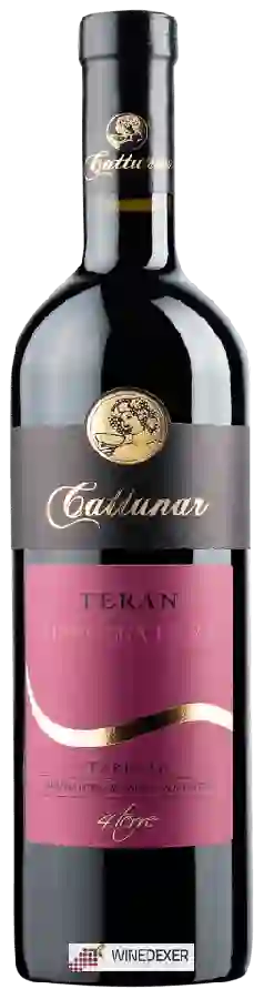 Winery Vina Cattunar - Teran