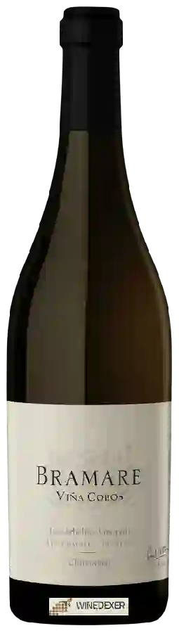 Winery Viña Cobos - Bramare Los Arbolitos Vineyard Chardonnay Winery Viña Cobos - Bramare Los Arbolitos Vineyard Chardonnay