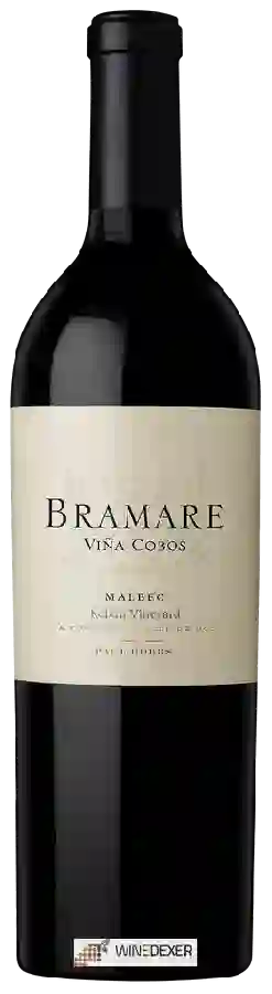 Winery Viña Cobos - Bramare Rebon Vineyard Malbec
