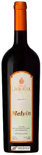 Winery Viña de Liceaga - Melvin