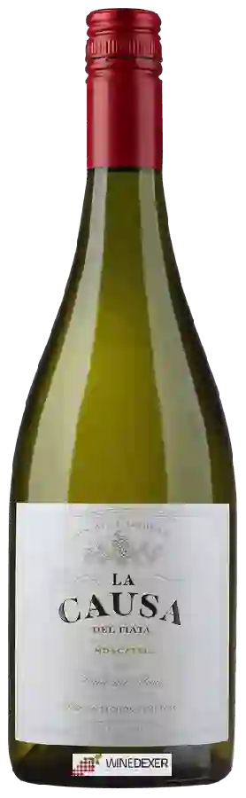 Winery Viña La Causa - Moscatel Winery Viña La Causa - Moscatel