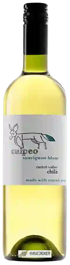 Winery La Fortuna - Culpeo Sauvignon Blanc