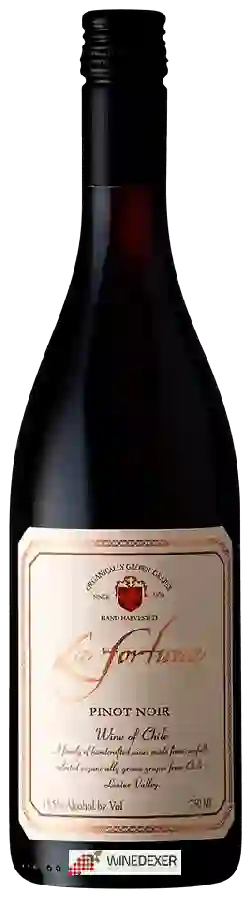 Winery La Fortuna - Pinot Noir