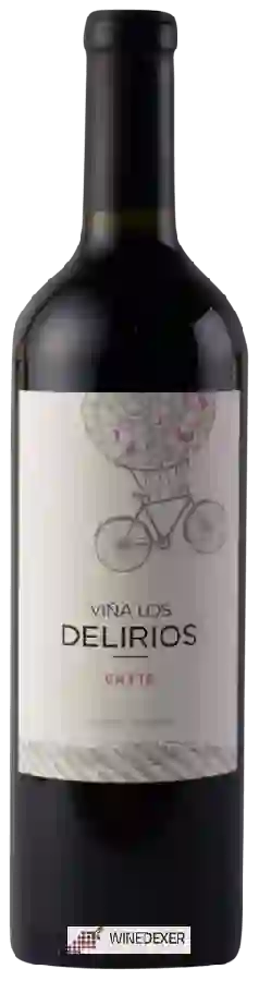 Winery Viña Los Delirios - Viña Los Delirios Blend Winery Viña Los Delirios - Viña Los Delirios Blend