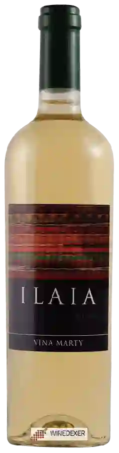 Winery Viña Marty - Ilaia Sauvignon Blanc Winery Viña Marty - Ilaia Sauvignon Blanc