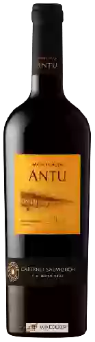 Winery MontGras - Antu Cabernet Sauvignon