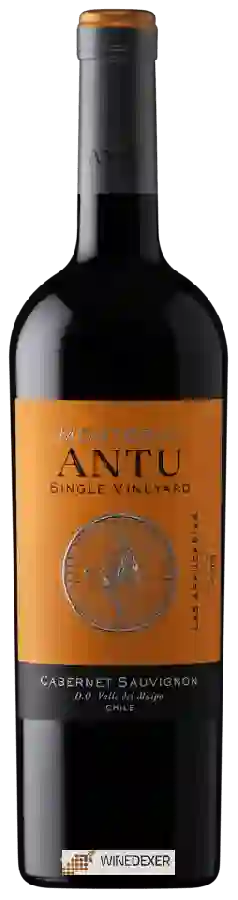 Winery MontGras - Antu Cabernet Sauvignon Winery MontGras - Antu Cabernet Sauvignon