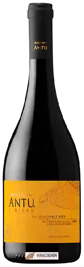 Winery MontGras - Antu Limited Pinot Noir