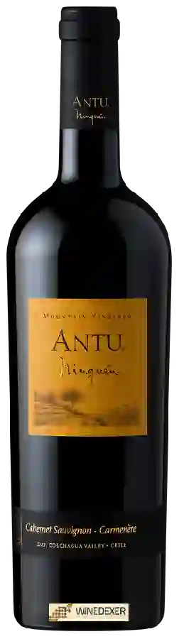 Winery MontGras - Antu Ninquén Cabernet Sauvignon - Carmenère Winery MontGras - Antu Ninquén Cabernet Sauvignon - Carmenère