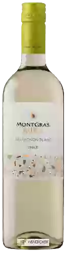 Winery MontGras - Aura Sauvignon Blanc