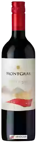 Winery MontGras - Estate Cabernet Sauvignon
