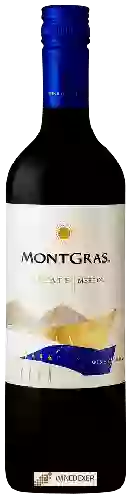Winery MontGras - Estate Merlot
