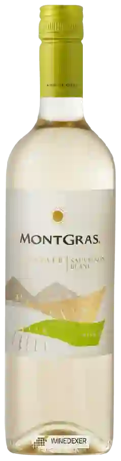 Winery MontGras - Estate Sauvignon Blanc Winery MontGras - Estate Sauvignon Blanc