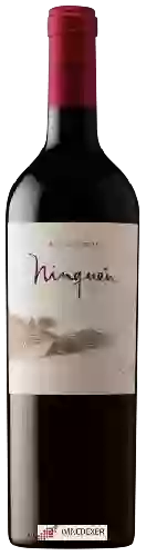 Winery MontGras - Ninquén (Mountain Vineyard)