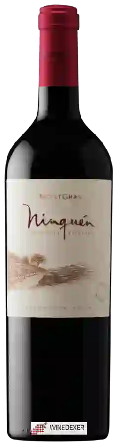Winery MontGras - Ninquén (Mountain Vineyard)