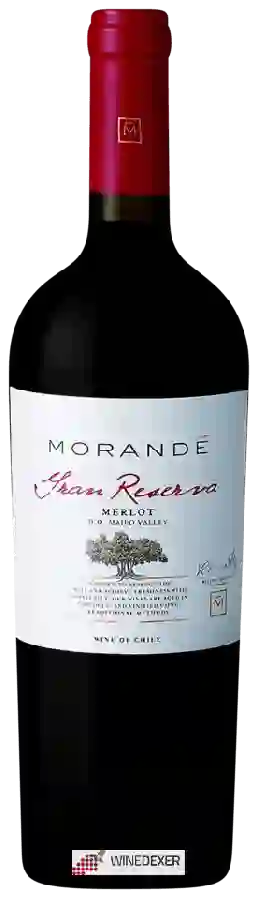 Winery Morandé - Gran Reserva Merlot Winery Morandé - Gran Reserva Merlot