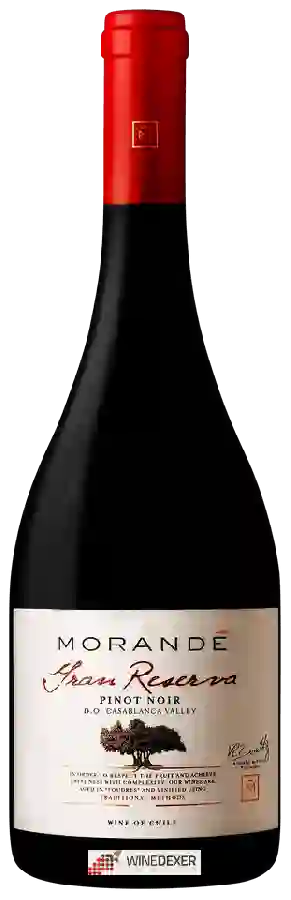 Winery Morandé - Gran Reserva Pinot Noir