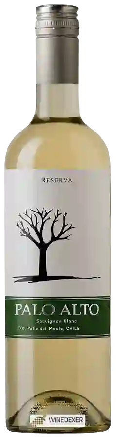 Winery Viña Palo Alto - Reserva Sauvignon Blanc