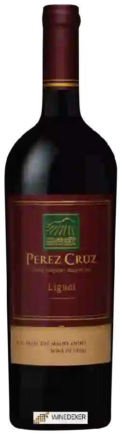 Winery Perez Cruz - Liguai Winery Perez Cruz - Liguai