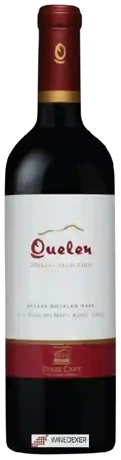 Winery Perez Cruz - Quelen Special Selection Winery Perez Cruz - Quelen Special Selection
