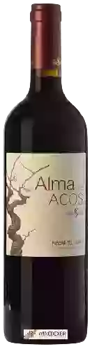 Winery Viña Sastre - Alma de Acos