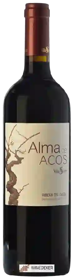 Winery Viña Sastre - Alma de Acos