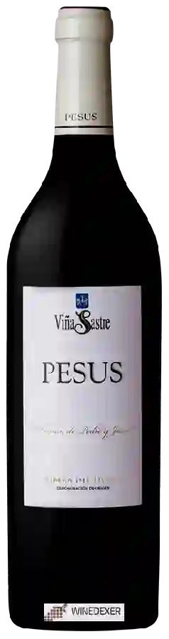 Winery Viña Sastre - Pesus Ribera del Duero