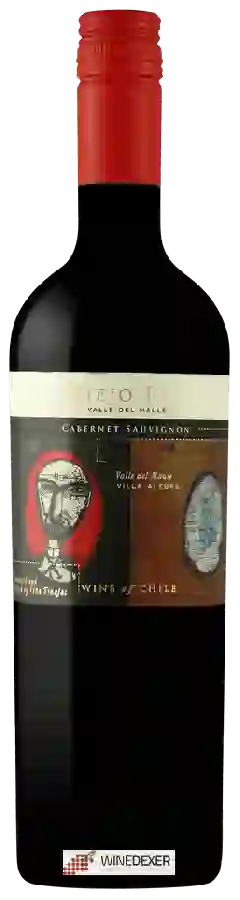 Winery Viña Tinajas - Viejo Feo Cabernet Sauvignon