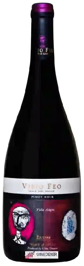 Winery Viña Tinajas - Viejo Feo Reserva Pinot Noir Winery Viña Tinajas - Viejo Feo Reserva Pinot Noir