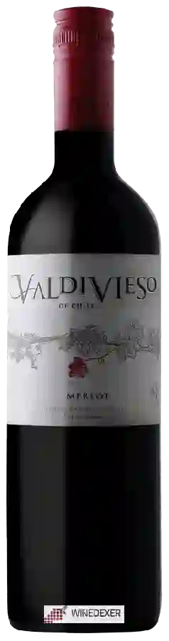 Winery Valdivieso - Merlot Winery Valdivieso - Merlot