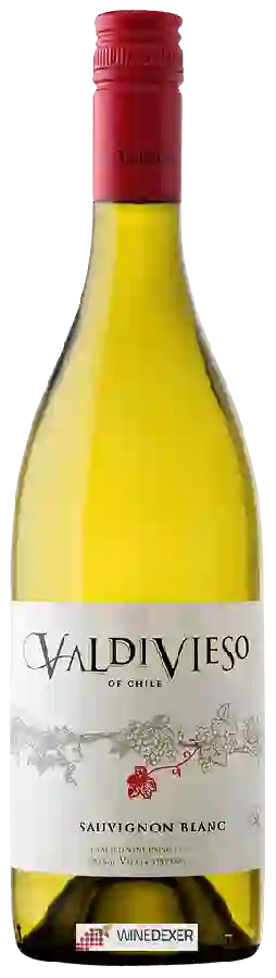 Winery Valdivieso - Sauvignon Blanc Winery Valdivieso - Sauvignon Blanc