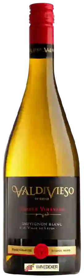Winery Valdivieso - Single Vineyard Sauvignon Blanc Winery Valdivieso - Single Vineyard Sauvignon Blanc