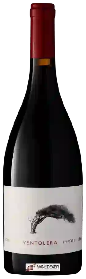 Winery Viña Ventolera - Pinot Noir - Syrah Winery Viña Ventolera - Pinot Noir - Syrah
