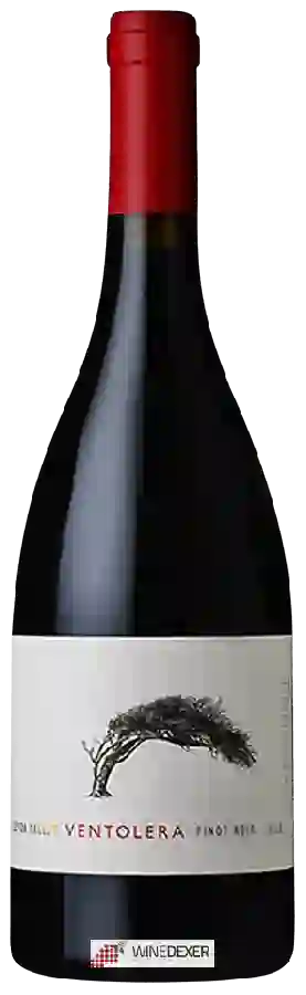 Winery Viña Ventolera - Pinot Noir