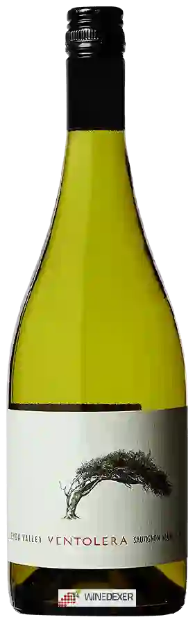 Winery Viña Ventolera - Sauvignon Blanc