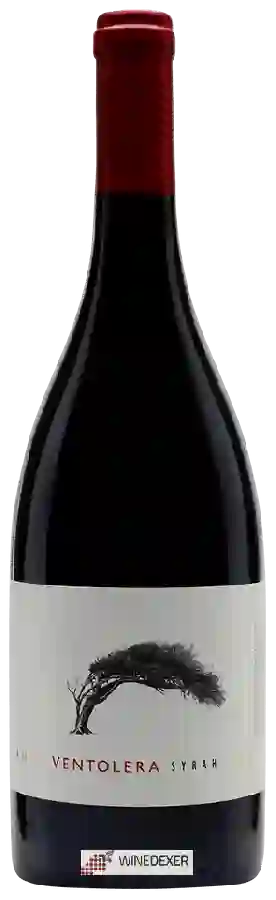 Winery Viña Ventolera - Syrah