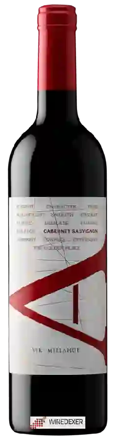 Viña Vik Winery - A Cabernet Sauvignon