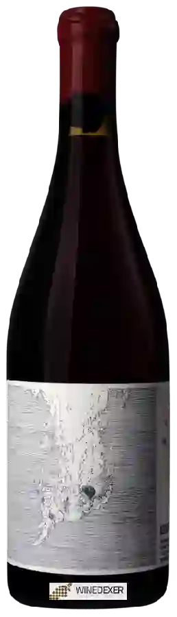 Winery Viña Zorzal - Sea of Dreams