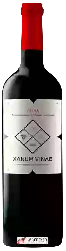 Winery Viña Zorzal - Xanum Vinae