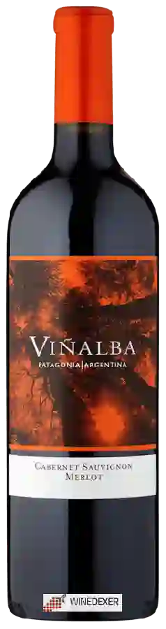 Winery Viñalba - Patagonia Cabernet Sauvignon - Merlot