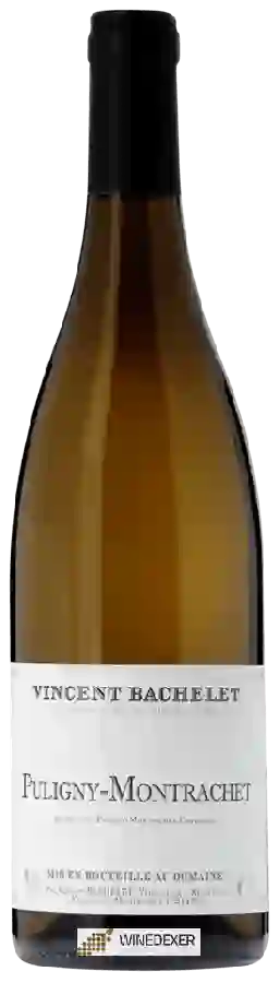Winery Vincent Bachelet - Puligny-Montrachet Winery Vincent Bachelet - Puligny-Montrachet