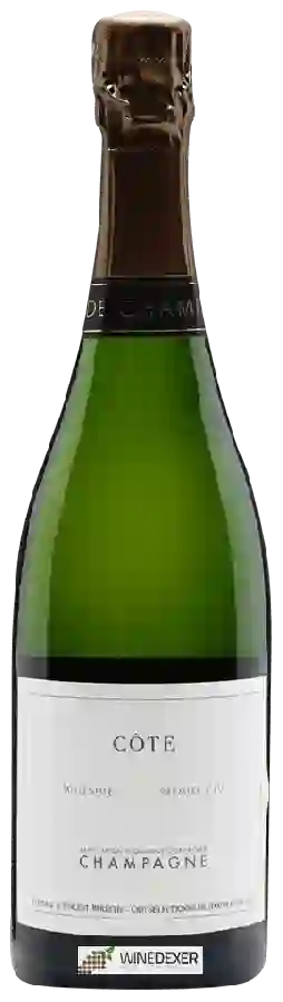 Winery Raphaël et Vincent Bérêche - Côte Millésimé Champagne Grand Cru