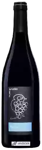 Winery Vincent Caillé - La Part du Colibri Abouriou