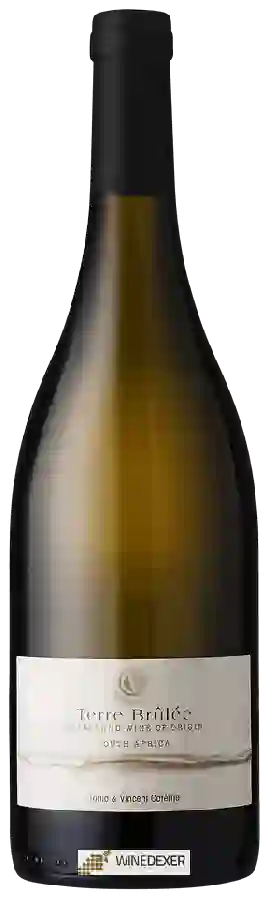 Winery Vincent Careme - Terre Brûlée 'Le Blanc'